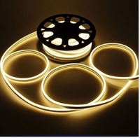 Neon Hortum Led IP 65220 Volt–120 Led-6 W/m G.ışık 1